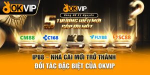 IP88 - Nhà Cái Mới Trở Thành Đối Tác Đặc Biệt Của OKVIP